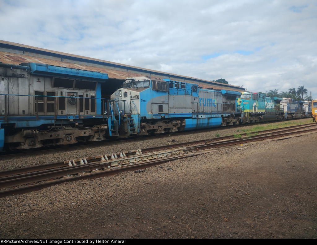 RUMO 9843